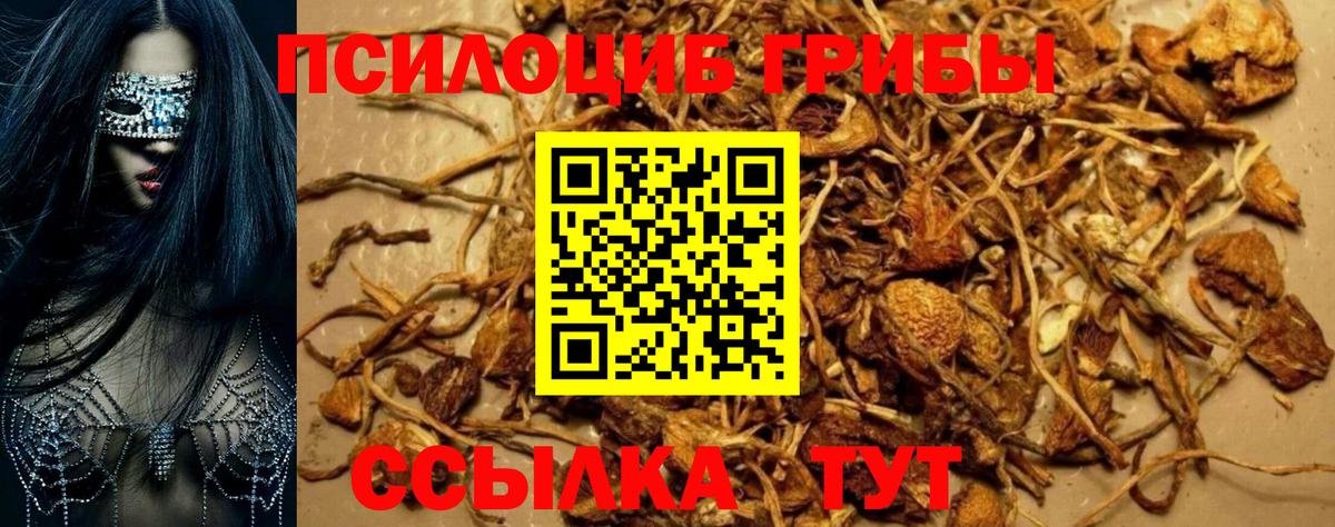 Псилоцибиновые грибы MAGIC MUSHROOMS  Вход с VPN  Зеленокумск 